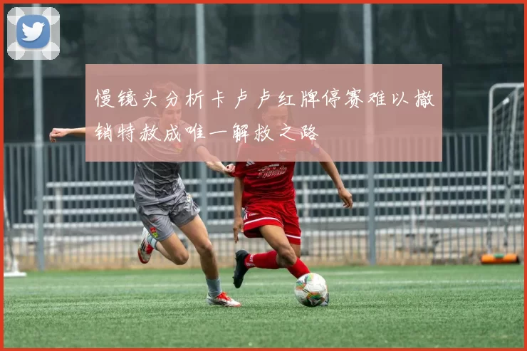 慢镜头分析卡卢卢红牌停赛难以撤销特赦成唯一解救之路