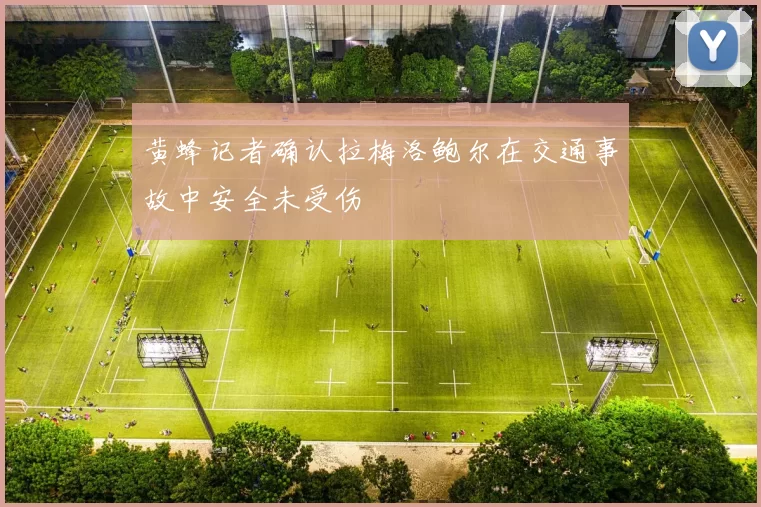 黄蜂记者确认拉梅洛鲍尔在交通事故中安全未受伤